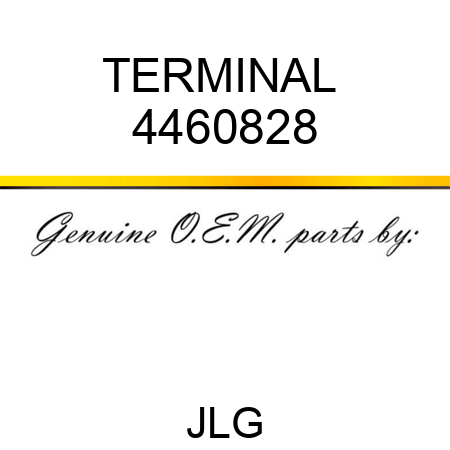 TERMINAL  4460828