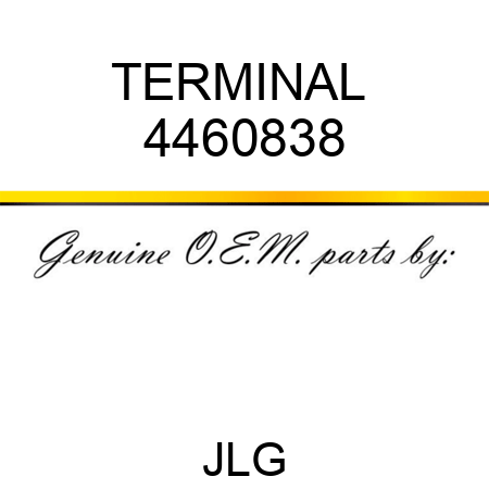 TERMINAL  4460838