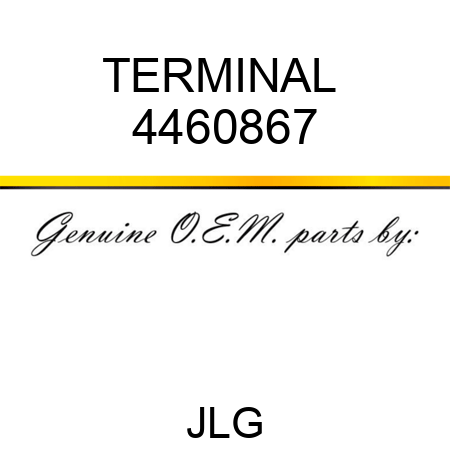 TERMINAL  4460867
