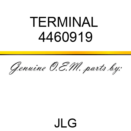 TERMINAL  4460919