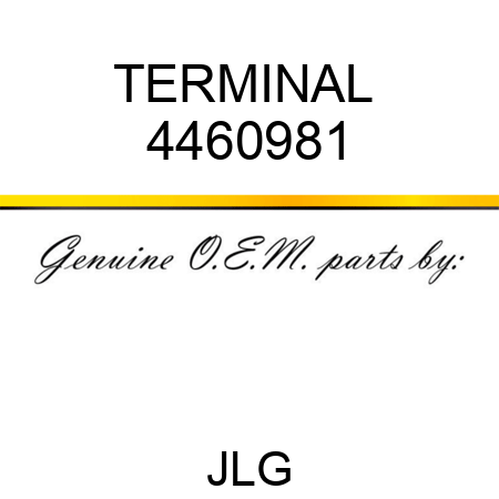 TERMINAL  4460981