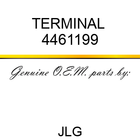 TERMINAL  4461199