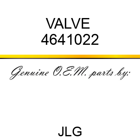 VALVE  4641022