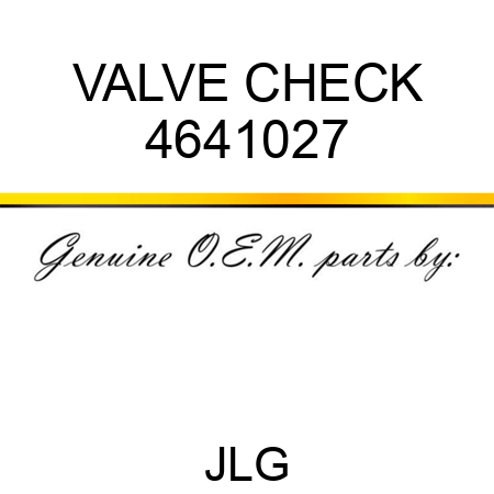 VALVE CHECK 4641027