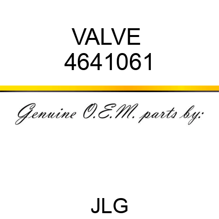 VALVE  4641061