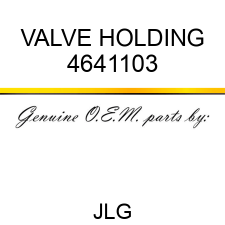 VALVE HOLDING 4641103