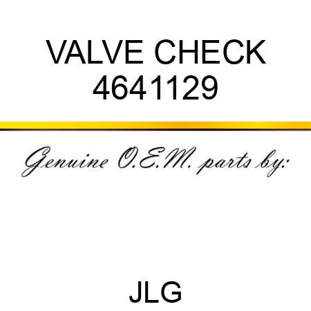 VALVE CHECK 4641129