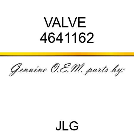 VALVE  4641162