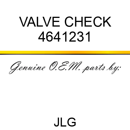 VALVE CHECK 4641231