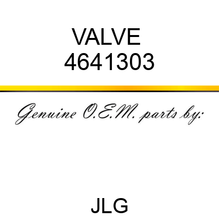 VALVE  4641303