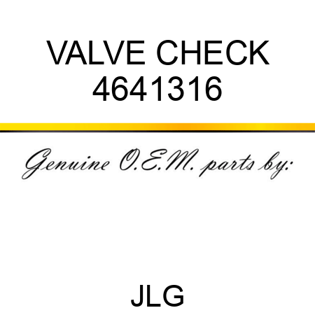VALVE CHECK 4641316