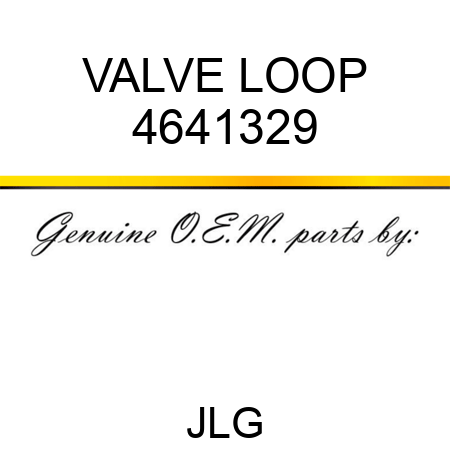 VALVE LOOP 4641329