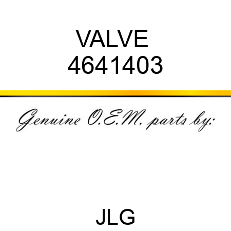 VALVE  4641403