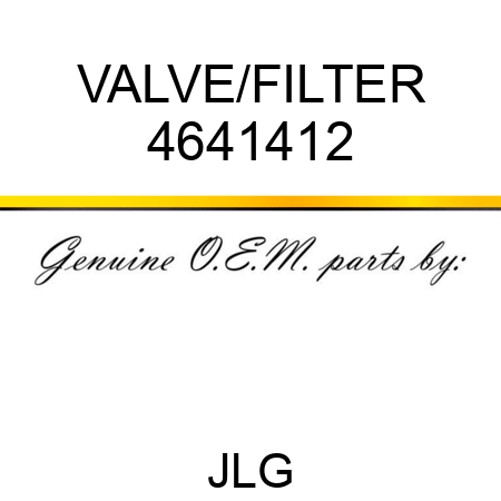 VALVE/FILTER 4641412