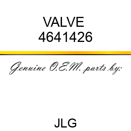 VALVE  4641426