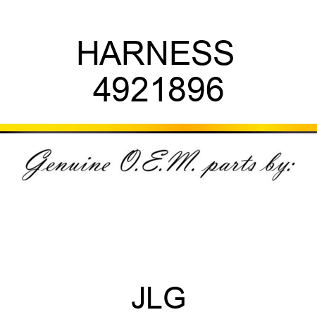 HARNESS  4921896