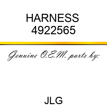 HARNESS  4922565
