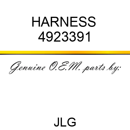 HARNESS  4923391