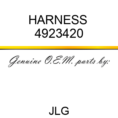 HARNESS  4923420
