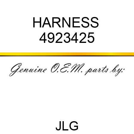 HARNESS  4923425