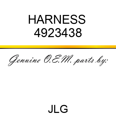 HARNESS  4923438