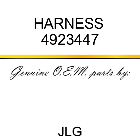 HARNESS  4923447