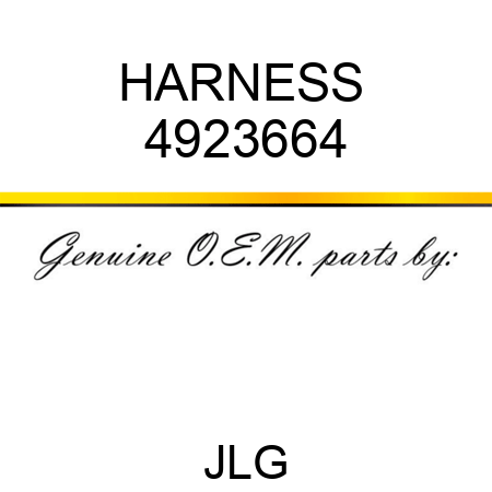 HARNESS  4923664