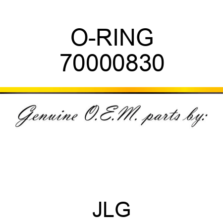 O-RING 70000830