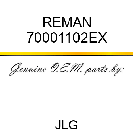 REMAN 70001102EX