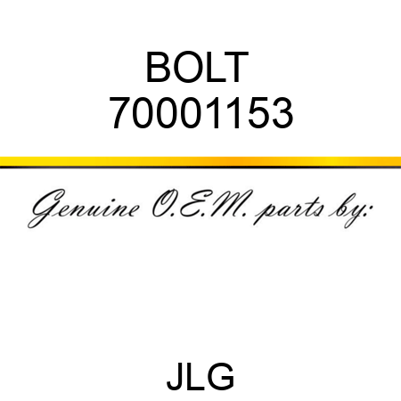 BOLT  70001153