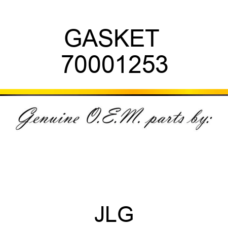 GASKET  70001253
