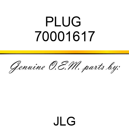 PLUG  70001617