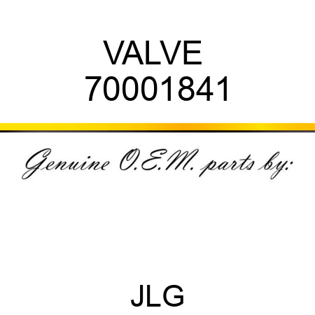 VALVE  70001841