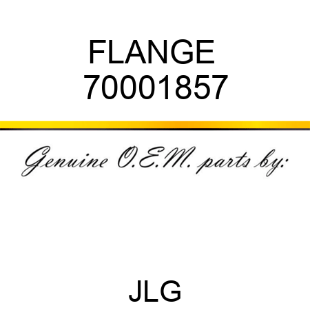 FLANGE  70001857