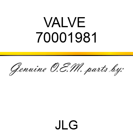 VALVE  70001981