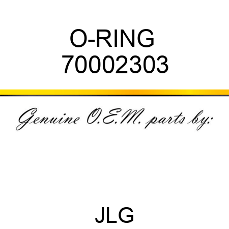 O-RING  70002303