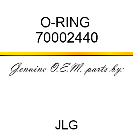 O-RING  70002440