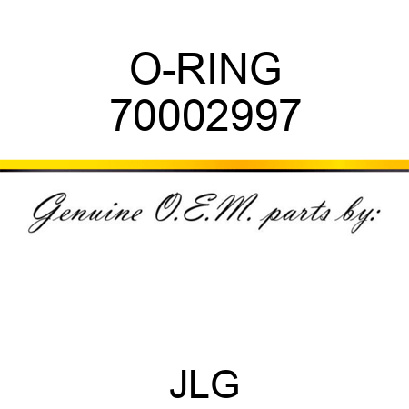 O-RING 70002997
