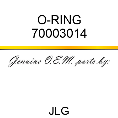 O-RING 70003014