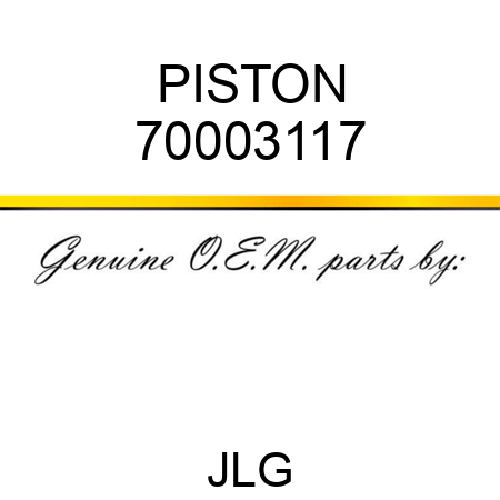PISTON 70003117