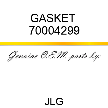 GASKET  70004299