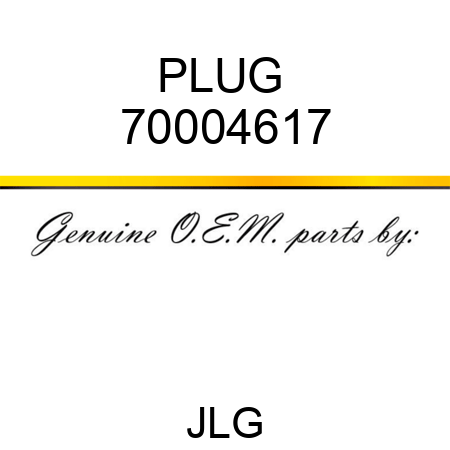 PLUG  70004617