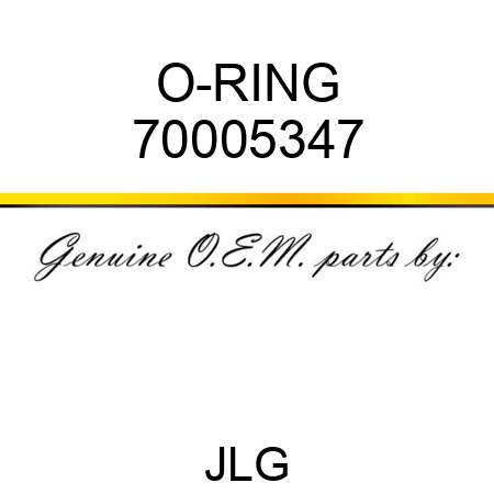 O-RING 70005347