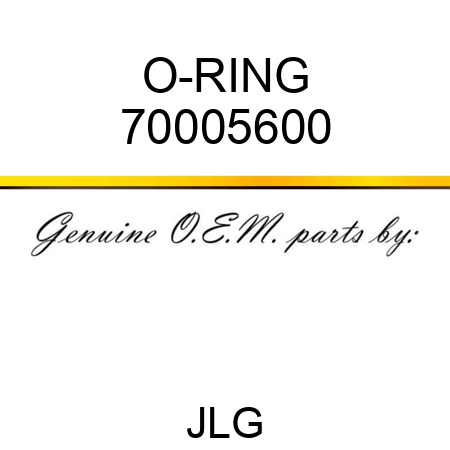 O-RING 70005600