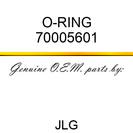 O-RING 70005601
