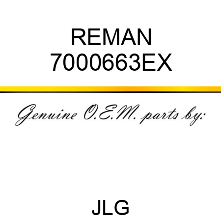 REMAN 7000663EX
