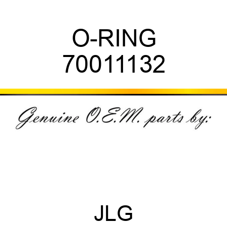 O-RING 70011132