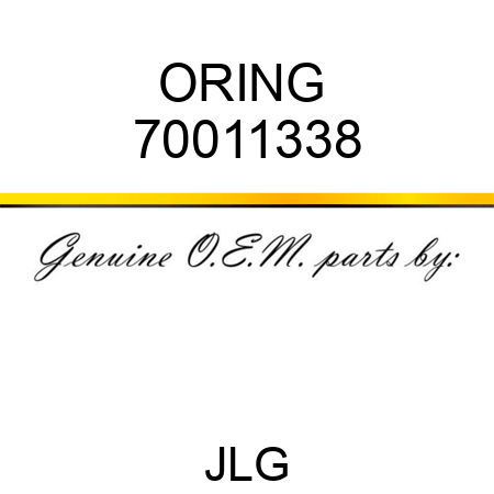 ORING  70011338
