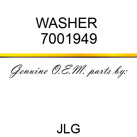 WASHER  7001949