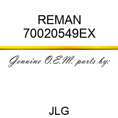 REMAN 70020549EX